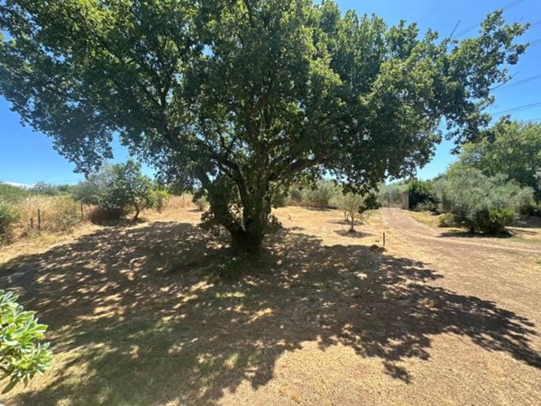 casa indipendente in vendita a Monterosi