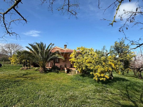 casa indipendente in vendita a Monterosi