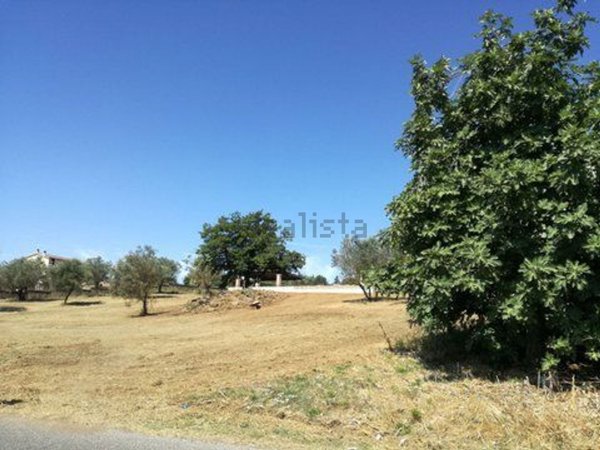 appartamento in vendita a Monterosi