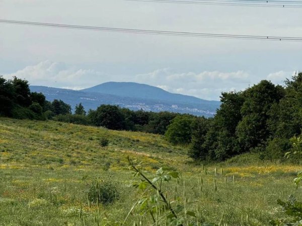 terreno agricolo in vendita a Monterosi
