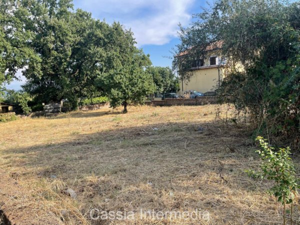terreno in vendita a Monterosi