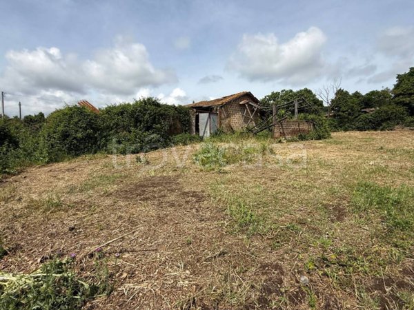 casa semindipendente in vendita a Monterosi