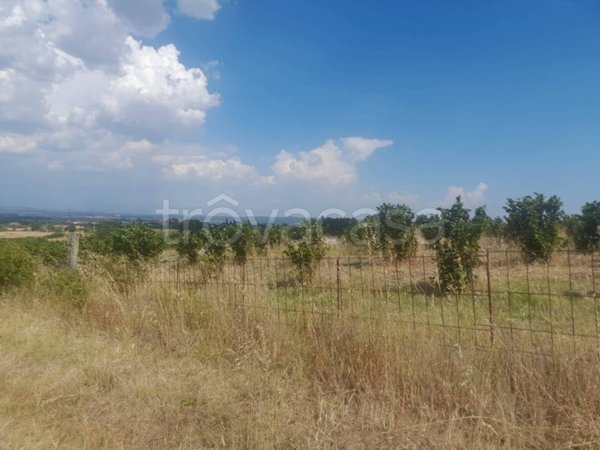 terreno in vendita a Monterosi
