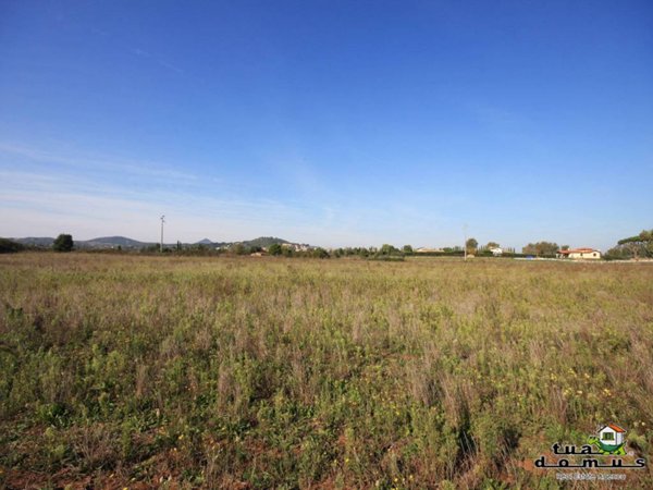 terreno in vendita a Monterosi
