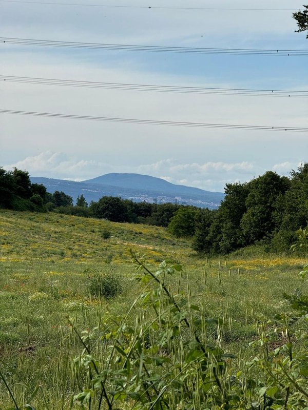 terreno in vendita a Monterosi