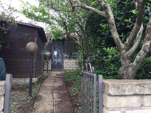 casa indipendente in vendita a Monterosi