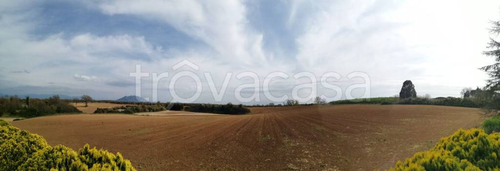 azienda agricola in vendita a Nepi