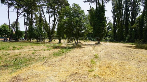 terreno agricolo in vendita a Nepi