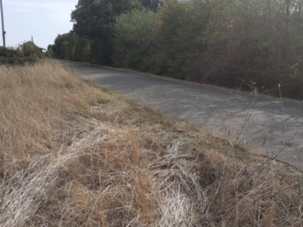 terreno agricolo in vendita a Nepi