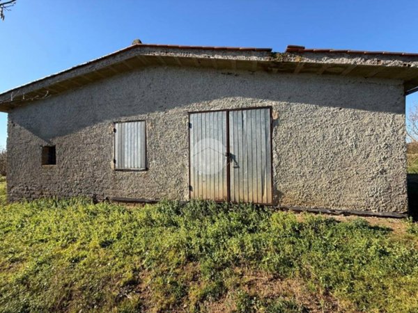 terreno agricolo in vendita a Nepi