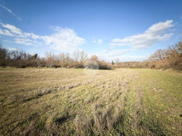 terreno agricolo in vendita a Nepi