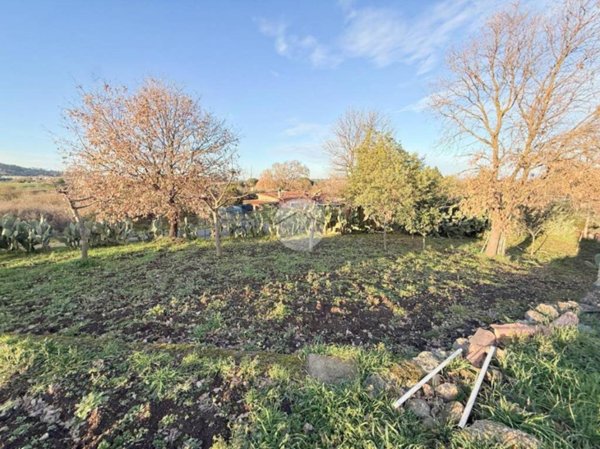 terreno agricolo in vendita a Nepi