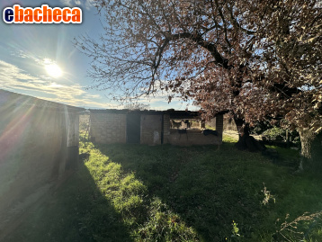locale di sgombero in vendita a Nepi