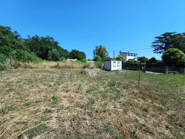 terreno agricolo in vendita a Nepi