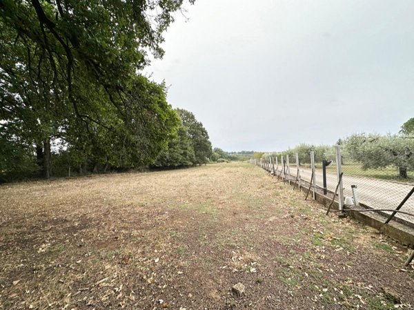 terreno agricolo in vendita a Nepi