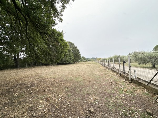 terreno edificabile in vendita a Nepi