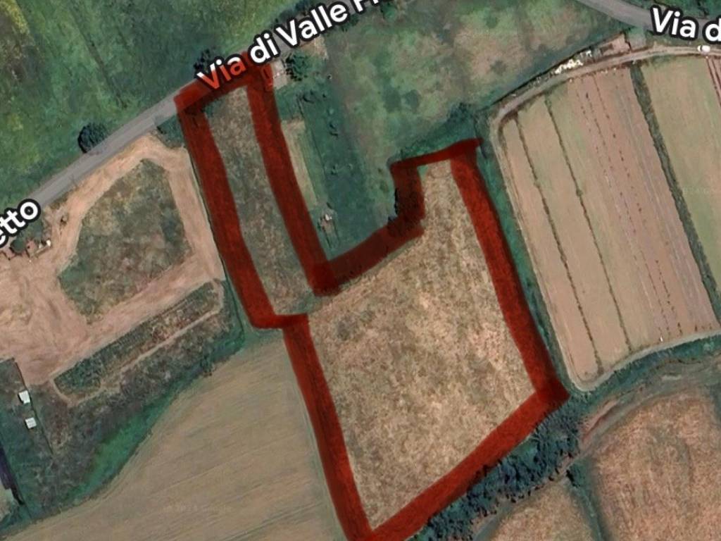 terreno agricolo in vendita a Nepi
