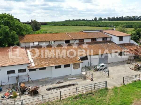 terreno agricolo in vendita a Nepi