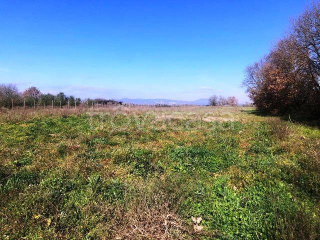 appartamento in vendita a Nepi