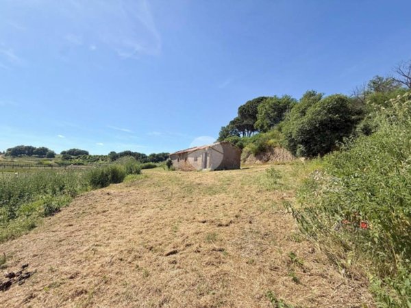 casa indipendente in vendita a Nepi