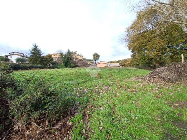 terreno agricolo in vendita a Nepi
