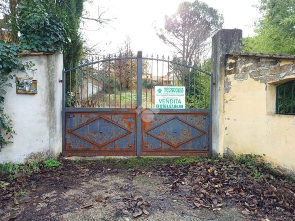 terreno agricolo in vendita a Nepi