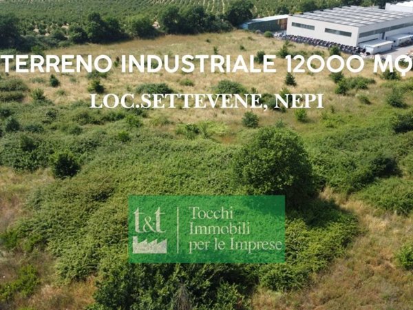 terreno agricolo in vendita a Nepi