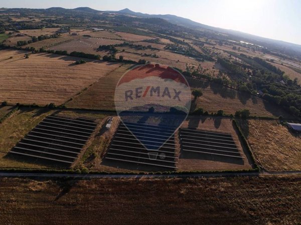 terreno agricolo in vendita a Nepi
