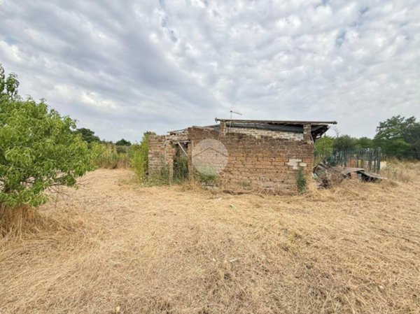 monolocale in vendita a Nepi