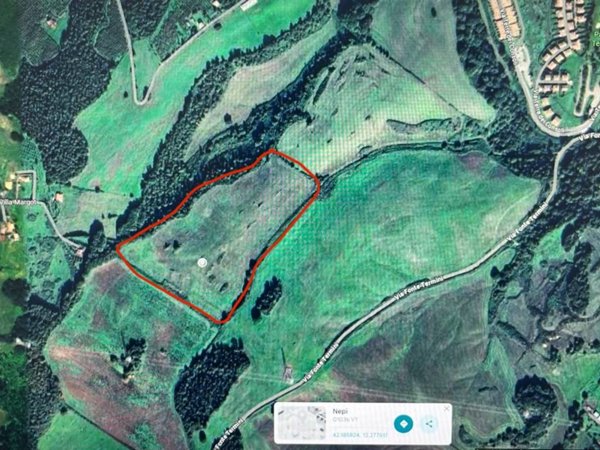 terreno agricolo in vendita a Nepi