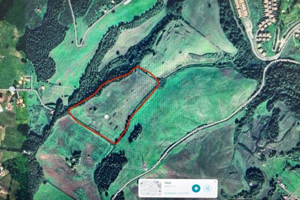terreno agricolo in vendita a Nepi
