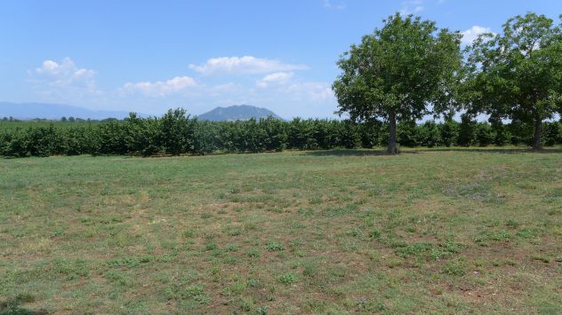 terreno agricolo in vendita a Nepi