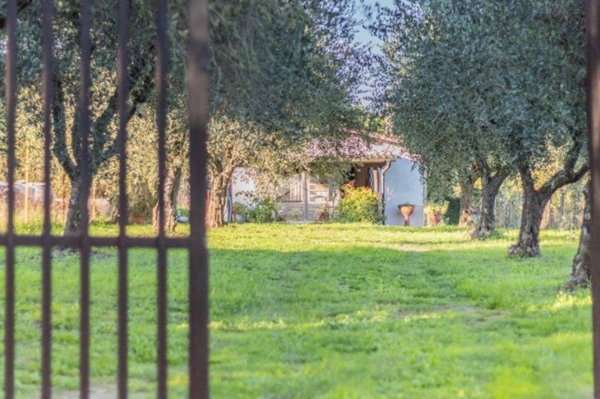 appartamento in vendita a Nepi