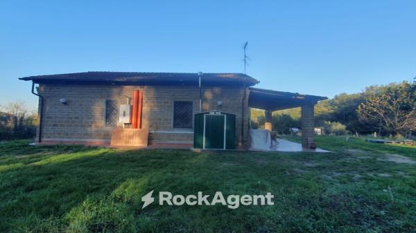 casa indipendente in vendita a Nepi