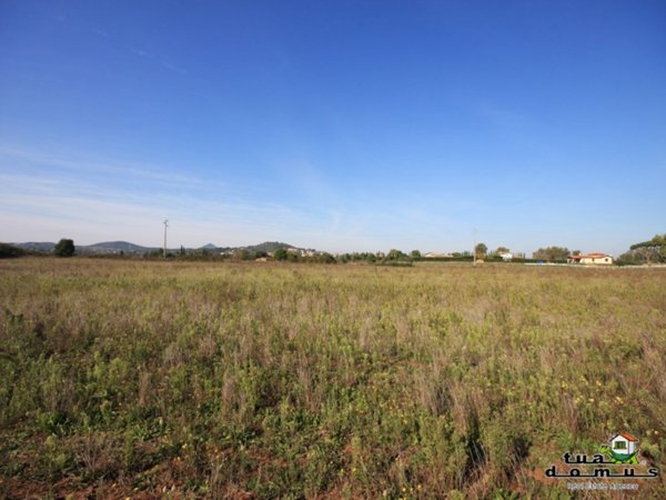 terreno agricolo in vendita a Nepi
