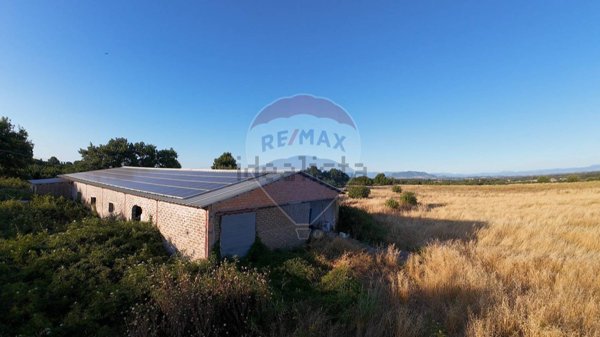 capannone in vendita a Nepi