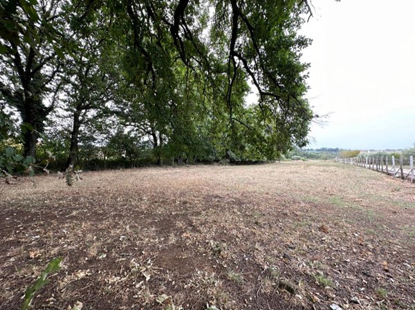 terreno agricolo in vendita a Nepi
