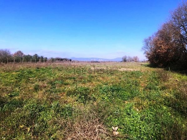 locale di sgombero in vendita a Nepi