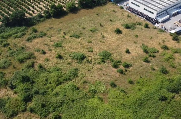 terreno edificabile in vendita a Nepi