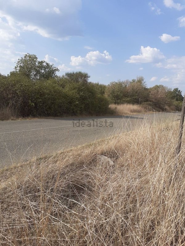 terreno agricolo in vendita a Nepi