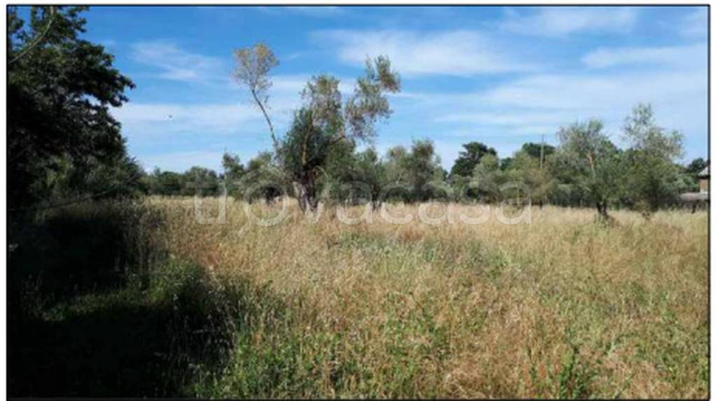 terreno agricolo in vendita a Nepi