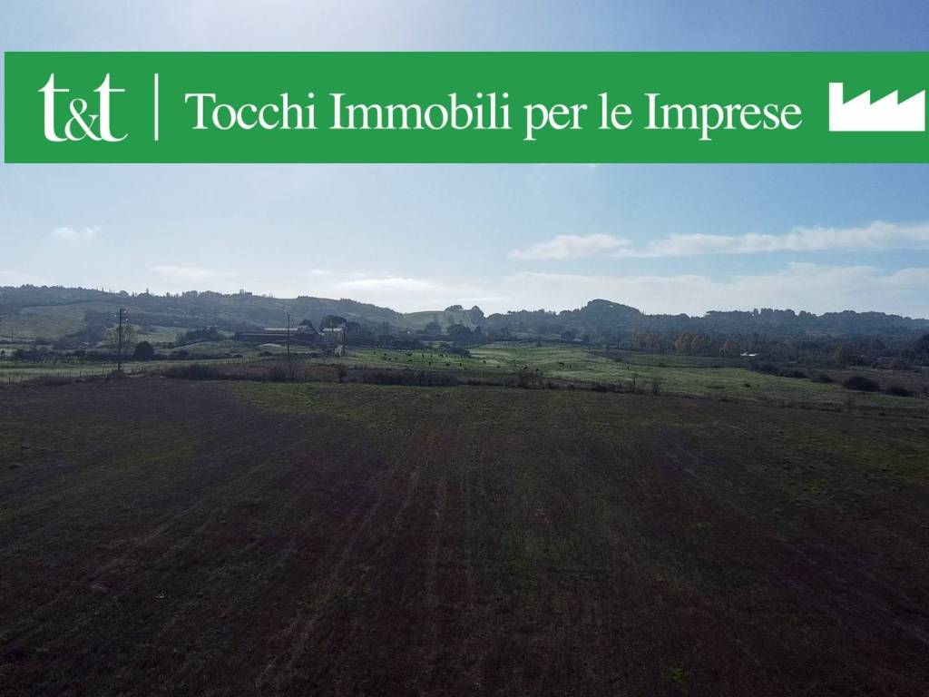 terreno agricolo in vendita a Nepi