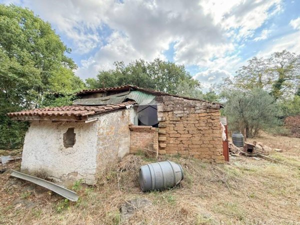 casa indipendente in vendita a Nepi