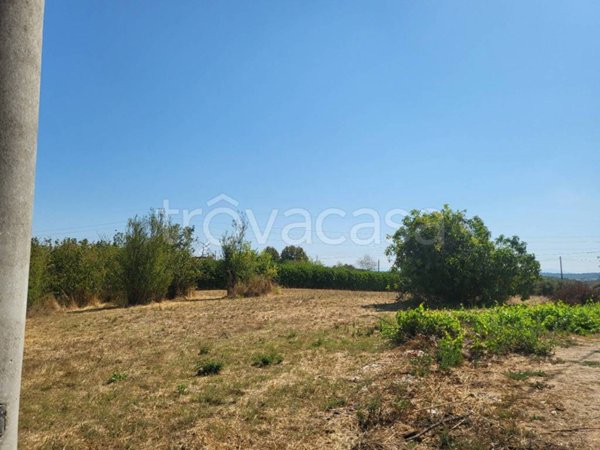 terreno agricolo in vendita a Nepi