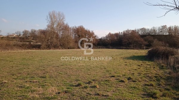 terreno agricolo in vendita a Nepi