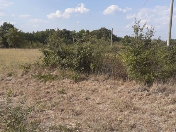 terreno agricolo in vendita a Nepi