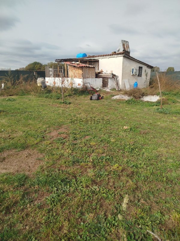 terreno agricolo in vendita a Nepi