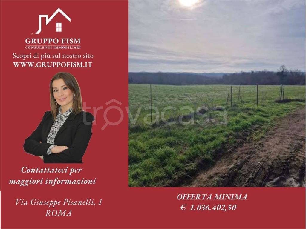 terreno edificabile in vendita a Nepi