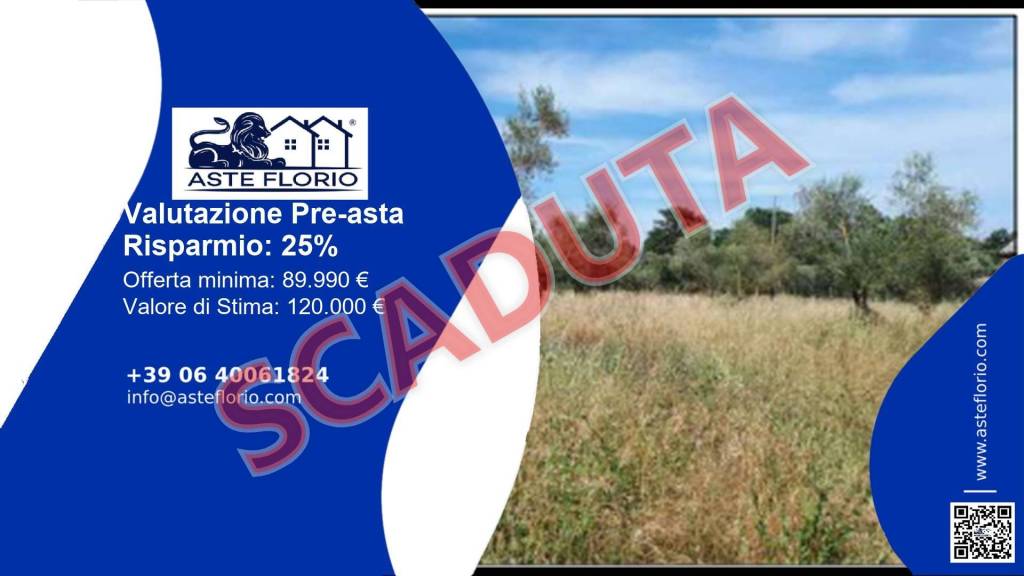 terreno agricolo in vendita a Nepi