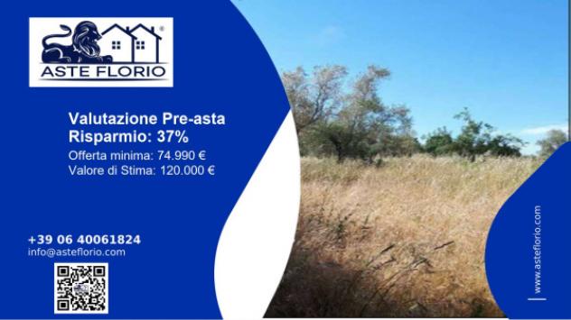 terreno agricolo in vendita a Nepi